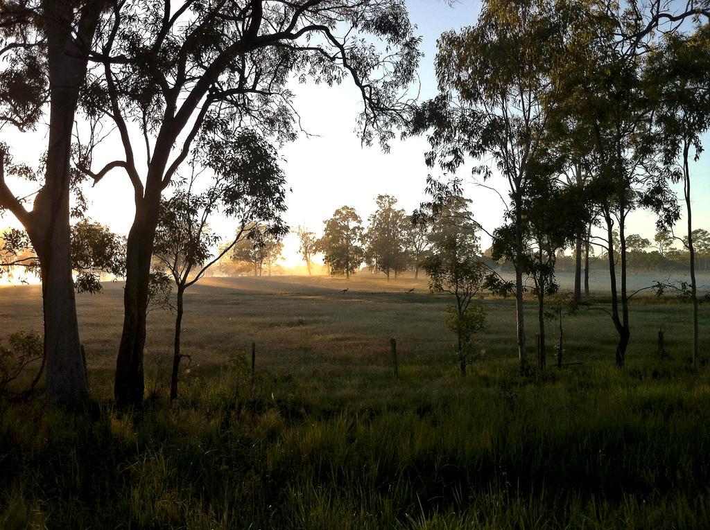 Susan River Homestead Χέρβεϊ Μπέι Εξωτερικό φωτογραφία